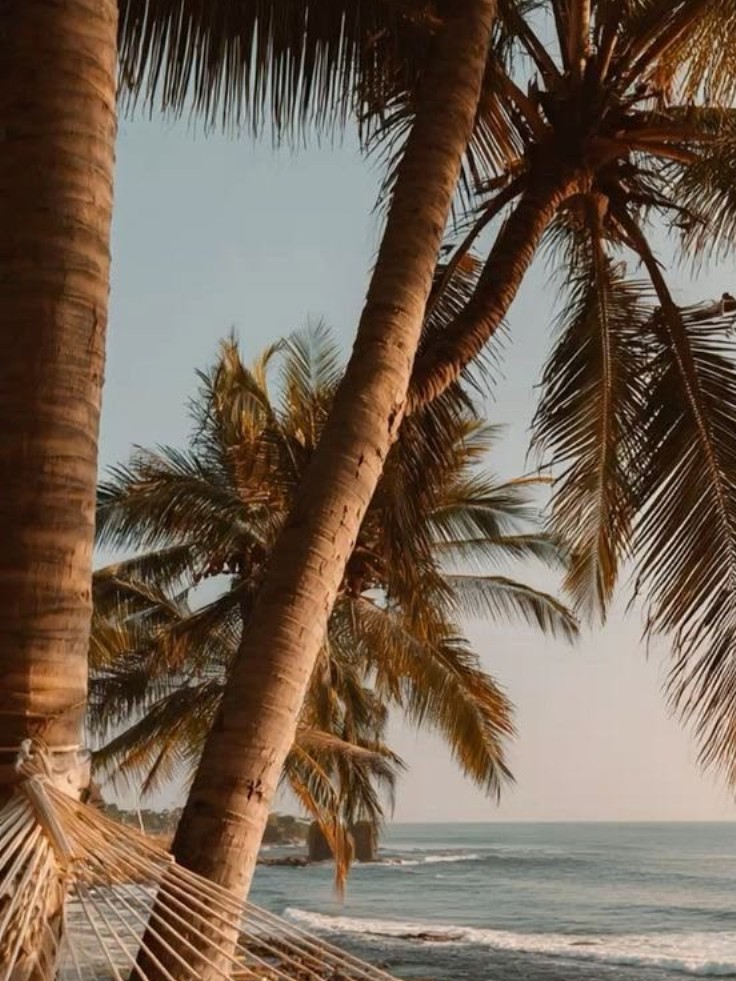 Two Weeks in Bali